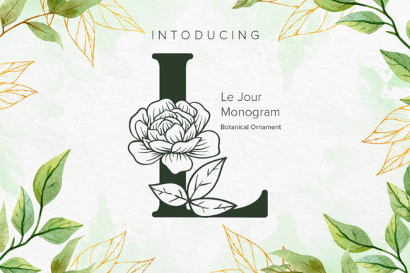 Choosing Le Jour Monogram: A Real Web Design Test