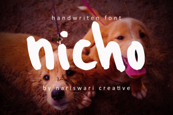 Choosing Nicho: A Display Font for Editorial Character